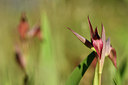 BUITEN BEELD Foto: 276283