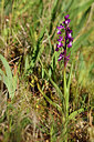 BUITEN BEELD Foto: 276288