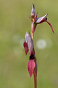 BUITEN BEELD Foto: 276329