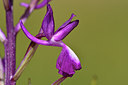 BUITEN BEELD Foto: 276332