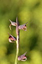 BUITEN BEELD Foto: 276344