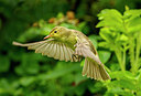 BUITEN BEELD Foto: 276361