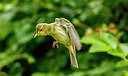 BUITEN BEELD Foto: 276371