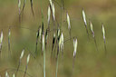 BUITEN BEELD Foto: 276384