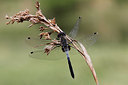 BUITEN BEELD Foto: 276431