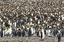 BUITEN BEELD Foto: 276445