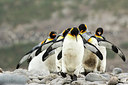 BUITEN BEELD Foto: 276475