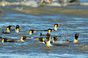 BUITEN BEELD Foto: 276493