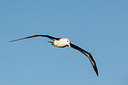 BUITEN BEELD Foto: 276533