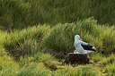 BUITEN BEELD Foto: 276550