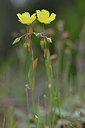 BUITEN BEELD Foto: 276578