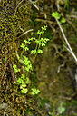 BUITEN BEELD Foto: 276589