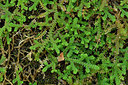 BUITEN BEELD Foto: 276598