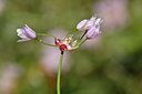 BUITEN BEELD Foto: 276599