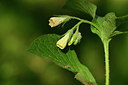 BUITEN BEELD Foto: 276610