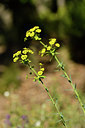 BUITEN BEELD Foto: 276619