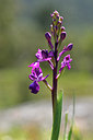 BUITEN BEELD Foto: 276632