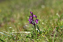 BUITEN BEELD Foto: 276633