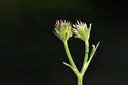 BUITEN BEELD Foto: 276660