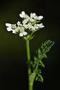 BUITEN BEELD Foto: 276661