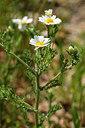 BUITEN BEELD Foto: 276670