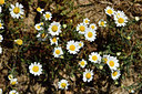 BUITEN BEELD Foto: 276672