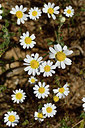 BUITEN BEELD Foto: 276674