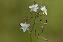 BUITEN BEELD Foto: 276687