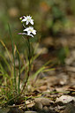 BUITEN BEELD Foto: 276689