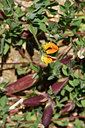 BUITEN BEELD Foto: 276691