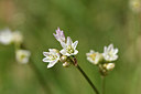 BUITEN BEELD Foto: 276698