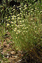 BUITEN BEELD Foto: 276703