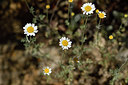 BUITEN BEELD Foto: 276704