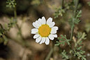 BUITEN BEELD Foto: 276705