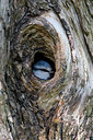 BUITEN BEELD Foto: 276740