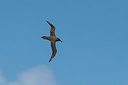 BUITEN BEELD Foto: 276828