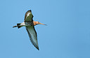 BUITEN BEELD Foto: 276836