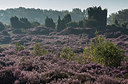 BUITEN BEELD Foto: 276878