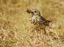 BUITEN BEELD Foto: 276897