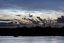 BUITEN BEELD Foto: 276971