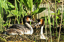 BUITEN BEELD Foto: 277080