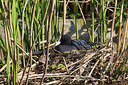 BUITEN BEELD Foto: 277203