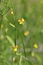 BUITEN BEELD Foto: 277247