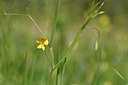 BUITEN BEELD Foto: 277248