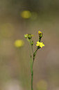 BUITEN BEELD Foto: 277249