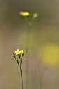 BUITEN BEELD Foto: 277251