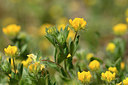 BUITEN BEELD Foto: 277258