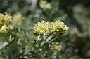 BUITEN BEELD Foto: 277282