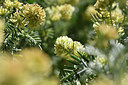 BUITEN BEELD Foto: 277284