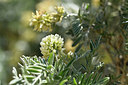 BUITEN BEELD Foto: 277285